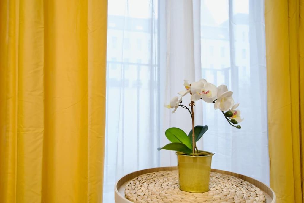 Standard By Hi5-horvath Mihaly Square Appartement Budapest